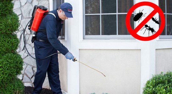 Taşköprü Dezenfeksiyon böcek ilaçlama ve haşere kontrolü — ilaclama-tr.com